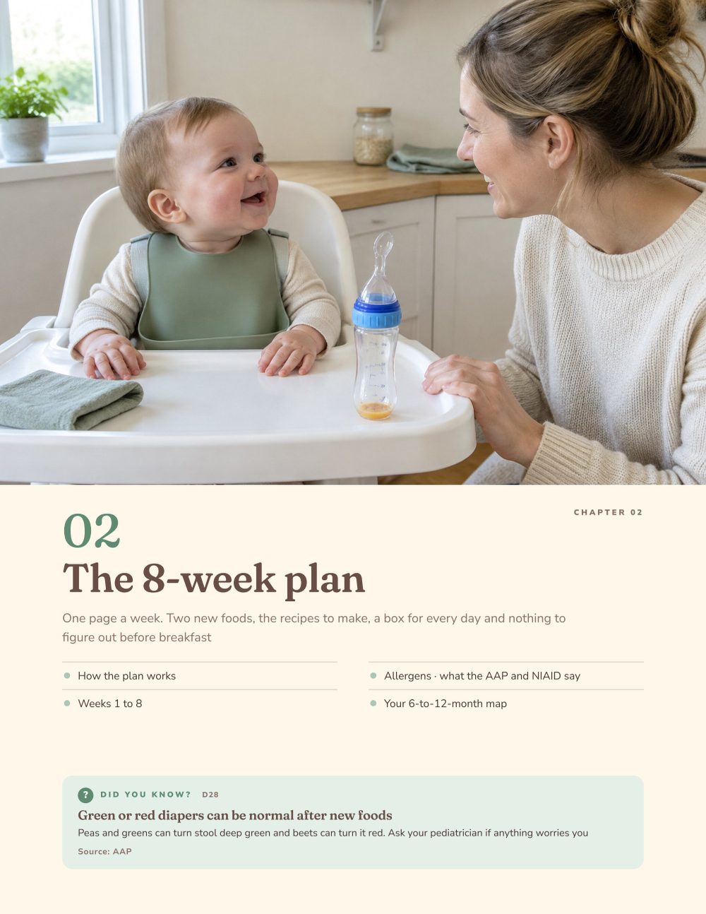 Page 4 of 10 from The First Foods Playbook